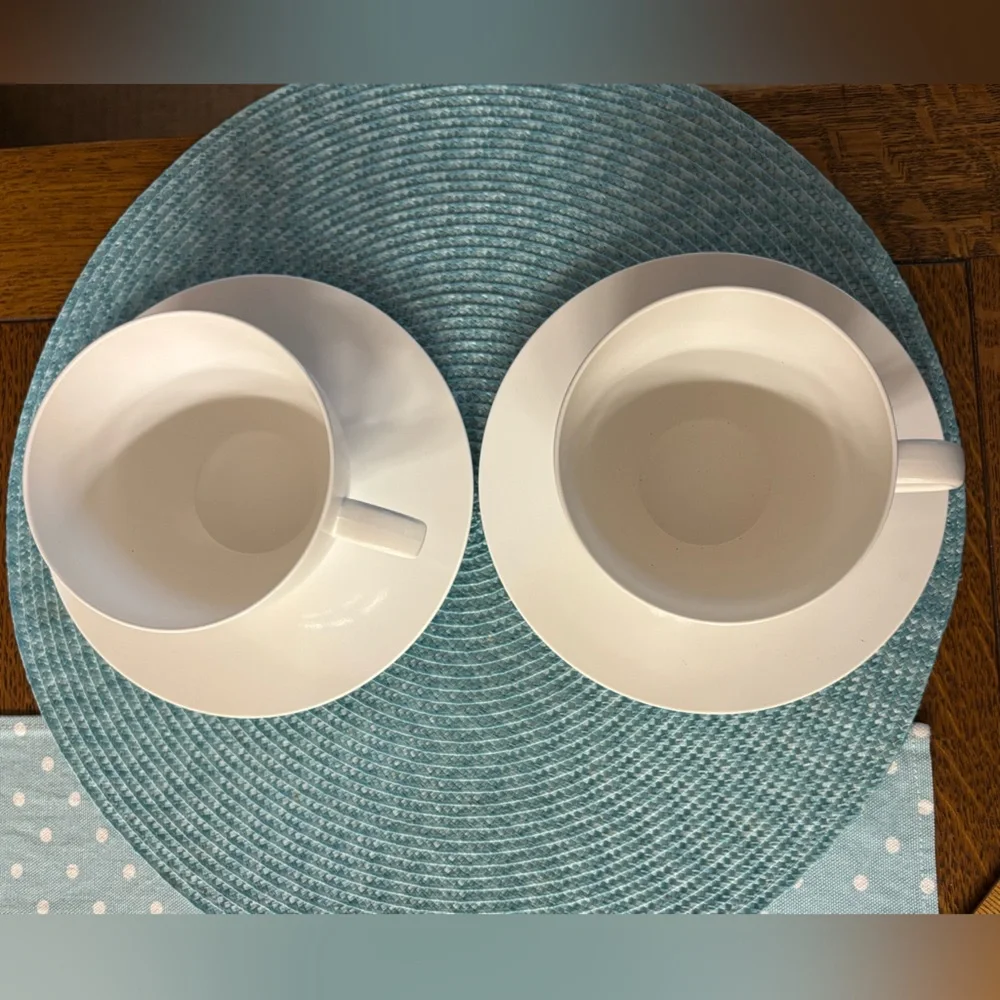 🆕 Set of TWO Bodum brand for Crate & Barrel PLASTIC MELAMINE cups & saucers